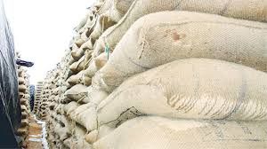  धान के अवैध संग्रहण पर लगातार जारी है कार्रवाई