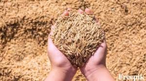 निर्धारित टोकनों में धान न बेच पाने वाले किसानों को एक अतिरिक्त टोकन देने ज्ञापन निर्धारित टोकनों में धान न बेच पाने वाले किसानों को एक अतिरिक्त टोकन देने ज्ञापन