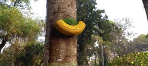 कबाड़ से जुगाड़ लोगो के आकर्षण का केन्द्र बन रहा है़ कबाड़ से जुगाड़ लोगो के आकर्षण का केन्द्र बन रहा है़