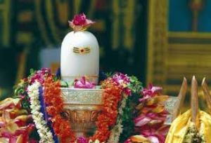  महाराष्ट्र मंडल में महाशिवरात्रि पर  51 जोड़े करेंगे सामूहिक लघु रुद्राभिषेक