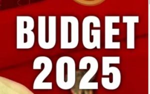 बजट मे श्रीमंत शंकर देव अनुसंधान पीठ के लिए दो करोड़ का प्रावधान बजट मे श्रीमंत शंकर देव अनुसंधान पीठ के लिए दो करोड़ का प्रावधान