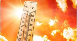 हिट स्टोक के बचाव के संबंध में कलेक्टर द्वारा दिशा निर्देश हिट स्टोक के बचाव के संबंध में कलेक्टर द्वारा दिशा निर्देश