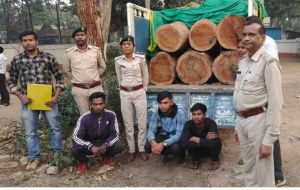 इमारती लकड़ियों से भरा पिकअप ज़ब्त, तीन गिरफ्तार इमारती लकड़ियों से भरा पिकअप ज़ब्त, तीन गिरफ्तार