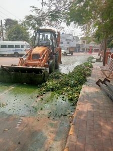 महाराजबंध तालाब से जलकुम्भी हटाने अभियान, लगभग 15 डम्पर जलकुम्भी बाहर निकाली महाराजबंध तालाब से जलकुम्भी हटाने अभियान, लगभग 15 डम्पर जलकुम्भी बाहर निकाली