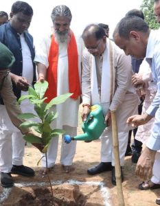  मुख्यमंत्री श्री साय ने बादाम का पौधा लगाया 