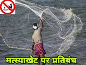 वर्षा ऋतु में मछलियों के संरक्षण हेतु 16 जून से 15 अगस्त तक मत्स्याखेट पर प्रतिबंध 