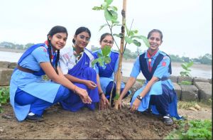 अरपा तीरे पेड़ लगाना पुनीत कार्य - डॉ सोमनाथ यादव