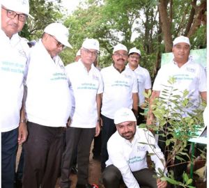  पॉवर कंपनी अध्यक्ष डॉ. रोहित यादव ने किया 50 हजार पौधे लगाने का आगाज