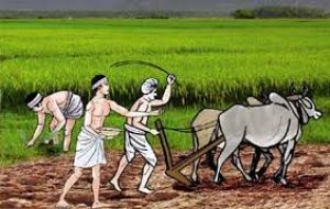 कृषक उन्नति योजना का लाभ लेने हेतु एकीकृत किसान पोर्टल में 31 अक्टूबर 2025 के पूर्व पंजीयन अनिवार्य