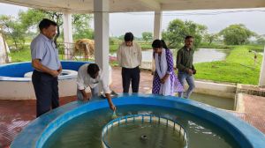 कलेक्टर ने मत्स्य प्रक्षेत्र देवरी का किया निरीक्षण