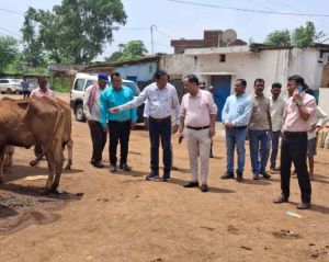  नेशनल गोट-डे के अवसर पर आयोजित कार्यशाला में कलेक्टर हुए शामिल, कहा बकतरा को पशुपालन हब के रूप में करें विकसित