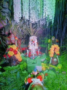 श्री रायपुर पुष्टिकर समाज के सदस्यों द्वारा बूढ़ेश्वर महादेव का किया गया एक अप्रतिम श्रृंगार 
