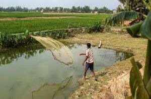 मत्स्य कृषकों का एनएफडीपी पोर्टल पर पंजीयन कराना अनिवार्य