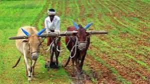 जिले के 80230 कृषकों को 16.75 करोड़ की राशि होगी जारी