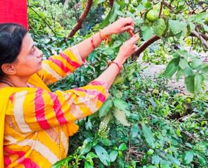  महाराष्&zwj;ट्र मंडल ने रक्षाबंधन से पहले मनाया वृक्षाबंधन