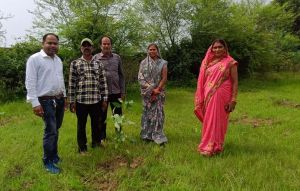 विद्यालयों में हरियाली की पहल, विद्यार्थियों व अभिभावकों का सामूहिक संकल्प विद्यालयों में हरियाली की पहल, विद्यार्थियों व अभिभावकों का सामूहिक संकल्प