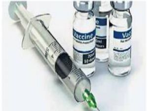 बस्तर संभाग में एंटी रेबीज वैक्सीन की पर्याप्त उपलब्धता बस्तर संभाग में एंटी रेबीज वैक्सीन की पर्याप्त उपलब्धता