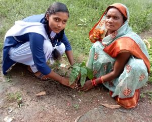 आरंग विकासखंड में ‘हरियर पाठशाला’ के तहत 250 पौधों का सामूहिक रोपण आरंग विकासखंड में ‘हरियर पाठशाला’ के तहत 250 पौधों का सामूहिक रोपण
