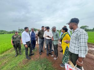 डिजिटल क्रॉप सर्वे की जानकारी लेने कलेक्टर पहुंचे खेतों में डिजिटल क्रॉप सर्वे की जानकारी लेने कलेक्टर पहुंचे खेतों में