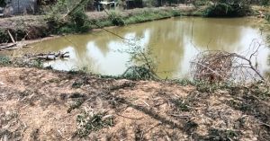  मनरेगा की डबरी से खेतों में आई हरियाली, किसानों के चेहरों पर मुस्कान