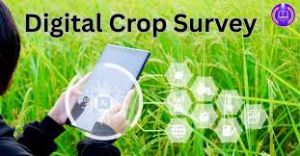 DCS सर्वे, राज्य में पचपेड़ी तहसील सबसे आगे DCS सर्वे, राज्य में पचपेड़ी तहसील सबसे आगे