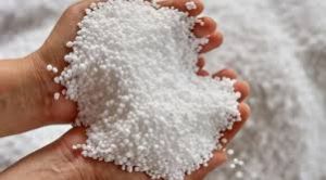   सोसायटियों में यूरिया की कमी , ऐन वक्त पर किसान भटक रहे