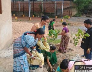  निगम जोन 7 क्षेत्र में स्वच्छता दीदियों ने 300 पौधे किये रोपित