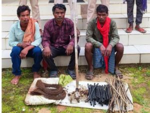 वन विभाग की बड़ी कार्रवाई,  शिकार के पूर्व तीन शिकारी गिरफ्तार