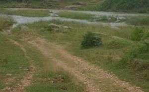  भालूमुंडा-खेजूरघाट मार्ग पर कोकिया नदी पर बनेगा 3 करोड़ 32 लाख की लागत से उच्च स्तरीय पुल