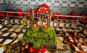   टेकारी के शीतला व काली मंदिर में शारदीय नवरात्रि की धूम