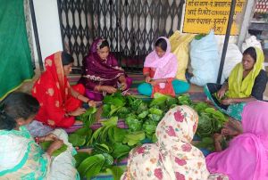 स्वच्छता और आत्मनिर्भरता की राह दिखा रही कुसमी की महिलाएं स्वच्छता और आत्मनिर्भरता की राह दिखा रही कुसमी की महिलाएं