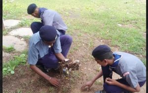  राष्ट्रपिता महात्मा गांधी जयंती पर स्काउट्स-गाइड्स रोवर रेंजर्स द्वारा चलाया गया स्वच्छता अभियान