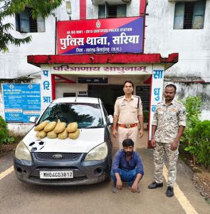 335 ग्राम गांजा के साथ एक आरोपी गिरफ्तार 335 ग्राम गांजा के साथ एक आरोपी गिरफ्तार