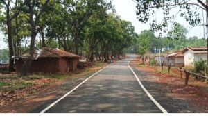  पीएम जनमन ने दिलाई पहाड़ी कोरवाओं को शासकीय योजनाओं के लाभ