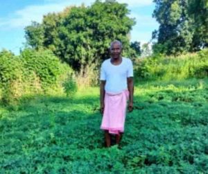 सौर सुजला योजना से सिंचाई सुविधा में हो रहा विस्तार सौर सुजला योजना से सिंचाई सुविधा में हो रहा विस्तार