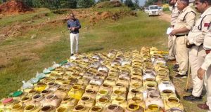 2250 किलो महुआ लाहन और 07 लीटर महुआ शराब जब्त 2250 किलो महुआ लाहन और 07 लीटर महुआ शराब जब्त