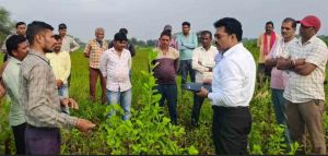   फसल बीमा योजना : किसानों को अधिक वर्षा से प्रभावित फसल की क्षतिपूर्ति के लिए मिलेगी राहत