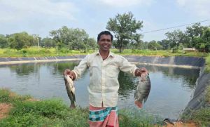  ग्रामीण अंचलों में मत्स्य पालन से आजीविका एवं आत्मनिर्भरता के खुल रहे नए अवसर