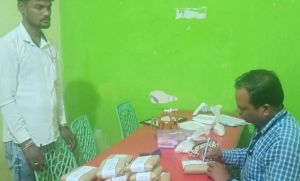  त्योहारी सीजन पर खाद्य पदार्थों की गुणवत्ता जांच हेतु सतत निरीक्षण जारी