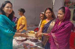 ग्रामीण महिलाओं के हुनर को मिला मंच ग्रामीण महिलाओं के हुनर को मिला मंच