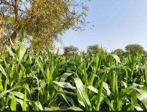  जल संकट से निपटने की नई राह