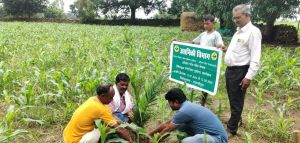   बंदूक की गूंज से फलों और फूलों की महक तक का सफर