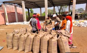  राज्य में 14,54,451 क्विंटल धान की हो चुकी है खरीदी 