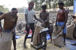   बस्तर जिले का जमावाड़ा धान उपार्जन केंद्र बना सुगमता और सहयोग की मिसाल, किसानों ने जताई संतुष्टि