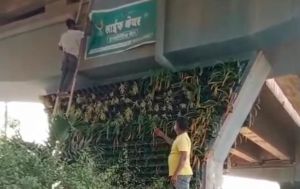 अवैध होर्डिंग्स हटाने के अभियान में निगम की सख्ती सुपेला क्षेत्र में ओवर ब्रिज पिलर्स से हटाए गए विज्ञापन, 1500 का जुर्माना अवैध होर्डिंग्स हटाने के अभियान में निगम की सख्ती सुपेला क्षेत्र में ओवर ब्रिज पिलर्स से हटाए गए विज्ञापन, 1500 का जुर्माना