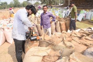 दुर्ग जिले में 52,885.48 मे. टन धान की खरीदी दुर्ग जिले में 52,885.48 मे. टन धान की खरीदी