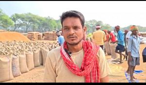 धान खरीदी : समर्थन मूल्य से किसानों को मिल रही राहत धान खरीदी : समर्थन मूल्य से किसानों को मिल रही राहत