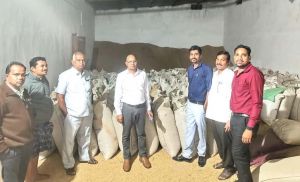  महासमुंद  में अवैध धान भंडारण पर सतत कार्रवाई, आज 1087 कट्टा धान जब्त