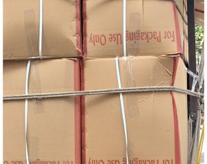 नगर पालिक निगम  की टीम ने प्रतिबंधित सिंगल यूज प्लास्टिक से लदे वाहन  को पकड़ा 