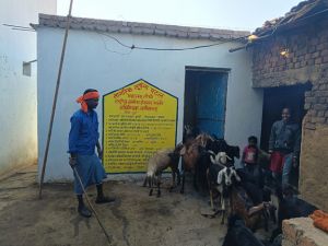  मनरेगा से मिला पक्का बकरी शेड 